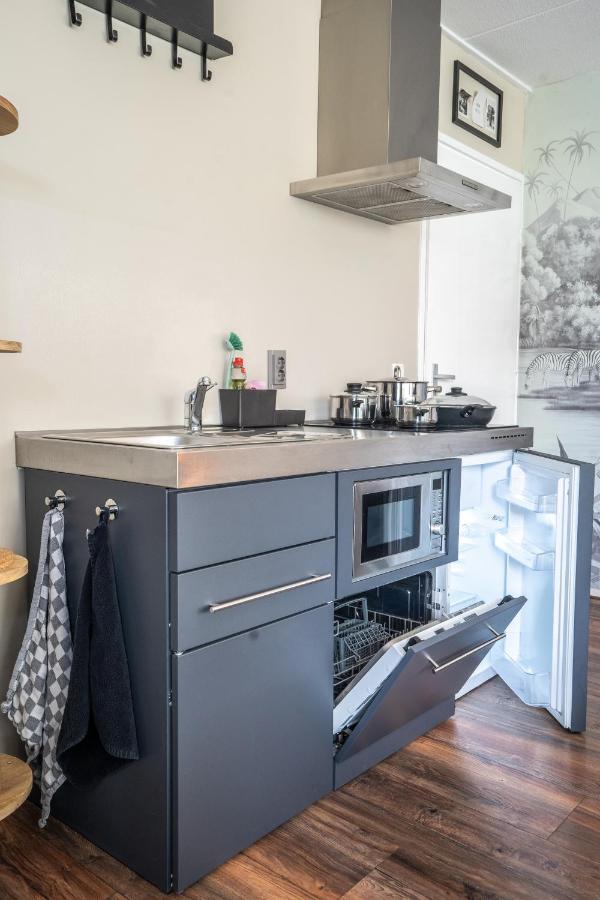 The Lion King - 6 Person Linked Apartment With Roof Terrace Groningen Bagian luar foto