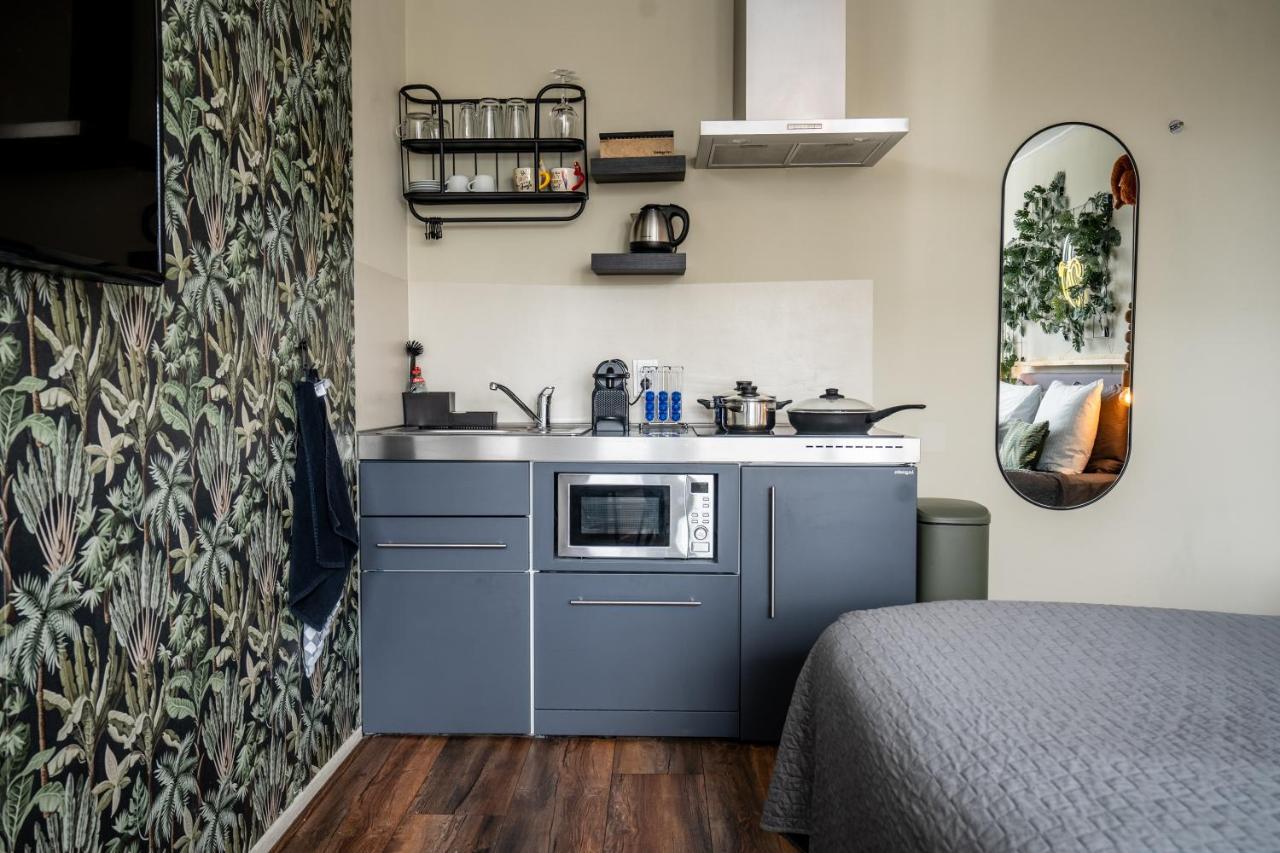 The Lion King - 6 Person Linked Apartment With Roof Terrace Groningen Bagian luar foto